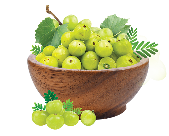 Amla: A Natural Superfood for Diabetes Management